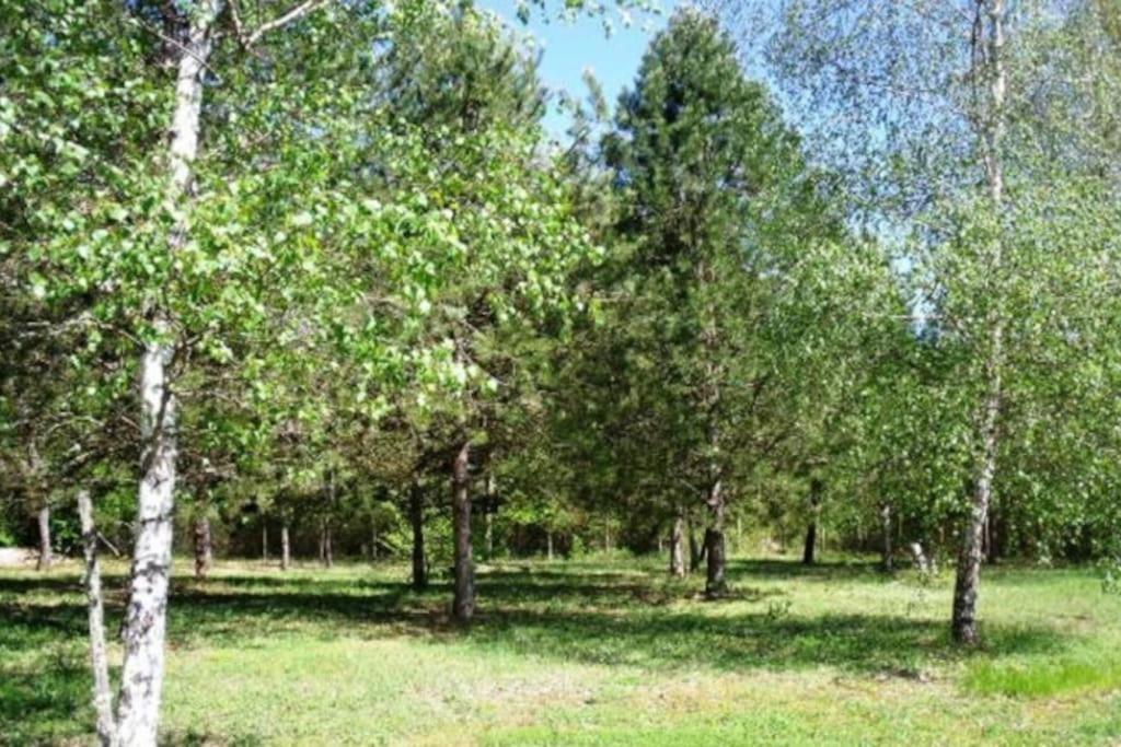 Grande Maison Avec Parc De 6000M2 Pompiey Экстерьер фото